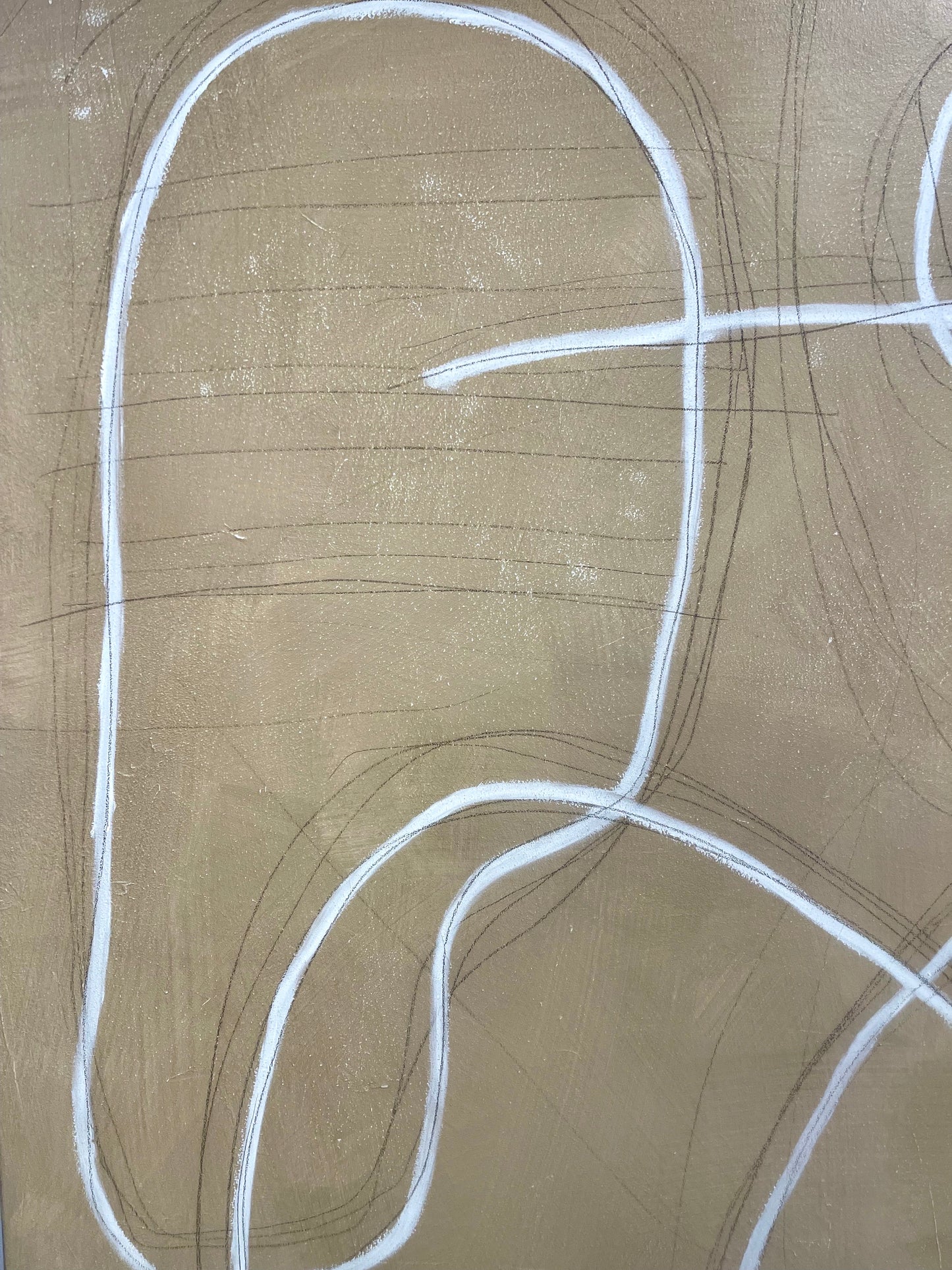 Coast Lines, 2026